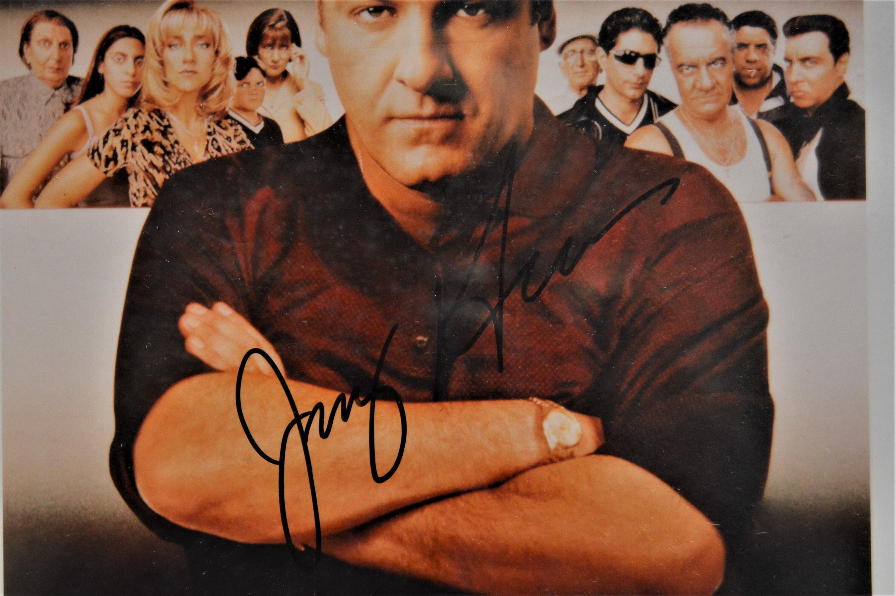 James Gandolfini Autograph Meet Tony Soprano Etsy