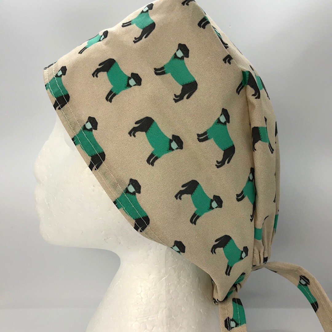 dog surgical cap