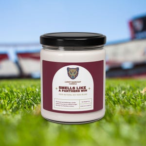 Smells Like a Panthers Win, Lucky Game Day Candle, Gift for Coach, Team Gift, Baseball Gifts, Football Gifts,  Michigan Football, UFL