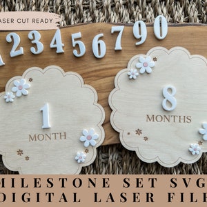 Daisy monthly milestone markers svg file, Monthly milestone set laser cut file, Daisy photo prop, Laser cut file, glowforge file