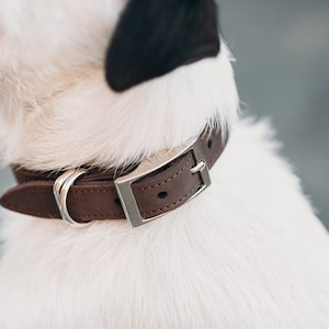 Personalized Leather Dog Collar / Brown Dog Neckwear / Durable Dog Collar / Real Leather Pet Collar / Crazy Horse Leather Dog Collar
