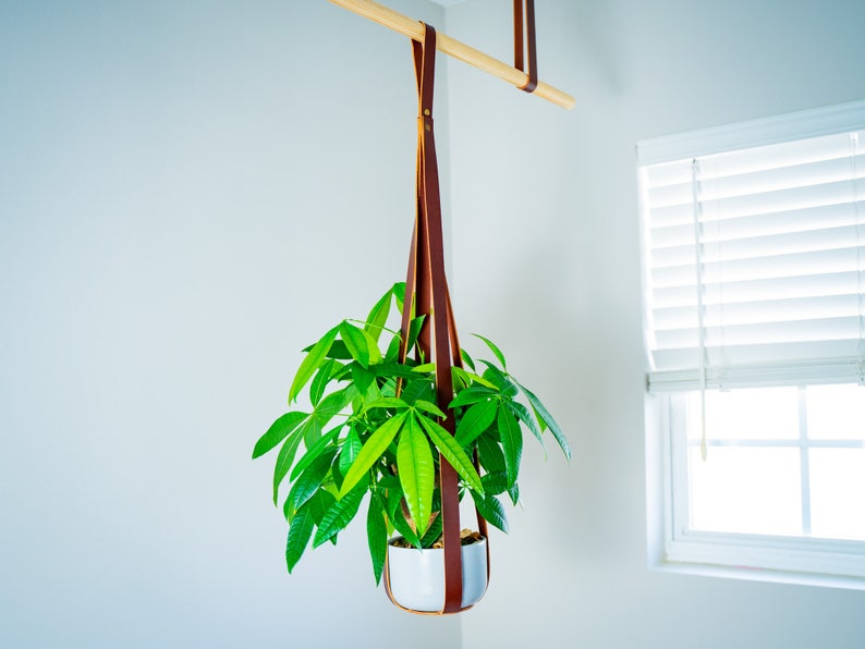 olpr Leather Plant Hanger
