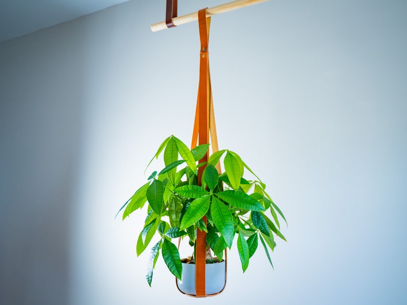 olpr Leather Plant Hanger - Thumbnail 2