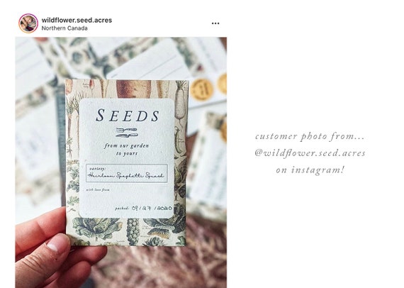 seed packet template diy printable seed packet homegrown etsy australia