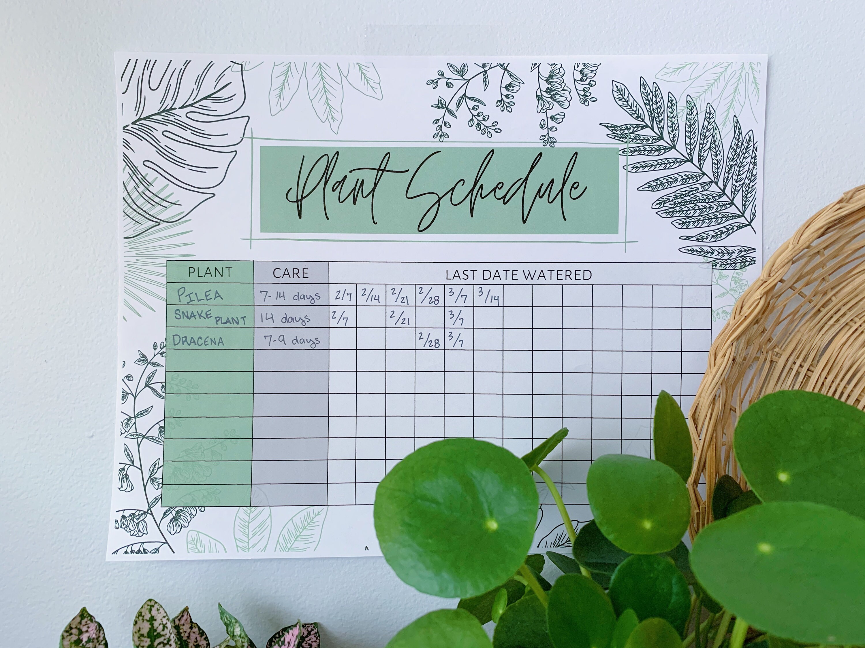 Buy Plant Watering Tracker PRINTABLE PDF Online In India Etsy