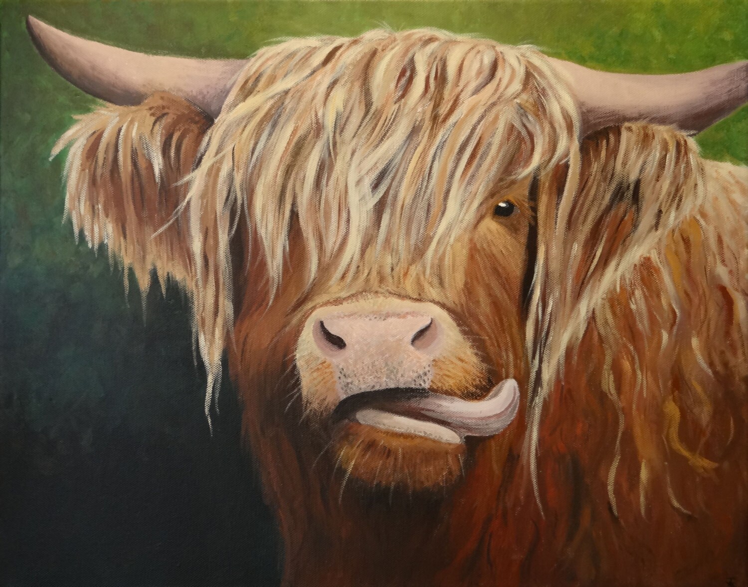 Highland Bull Print limited Edition of 100 Got It Licked Etsy — free download