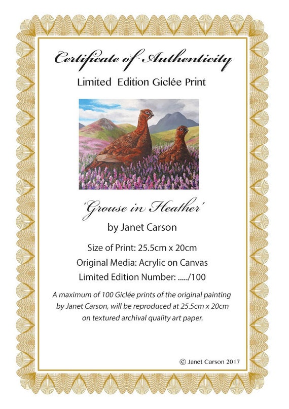 Game Bird Limited Edition of 100 Scottish Grouse Print, Shooting Gicl\u00e9e Print 'Grouse in Heather' by Janet Carson