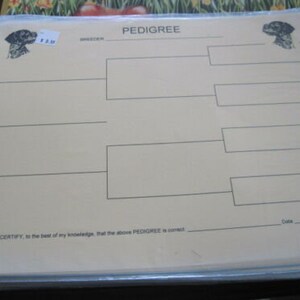 May include: A blank pedigree chart for a dog, with spaces for the dog's name, breeder, and date of birth. The chart is divided into sections for the dog's parents, grandparents, and great-grandparents.