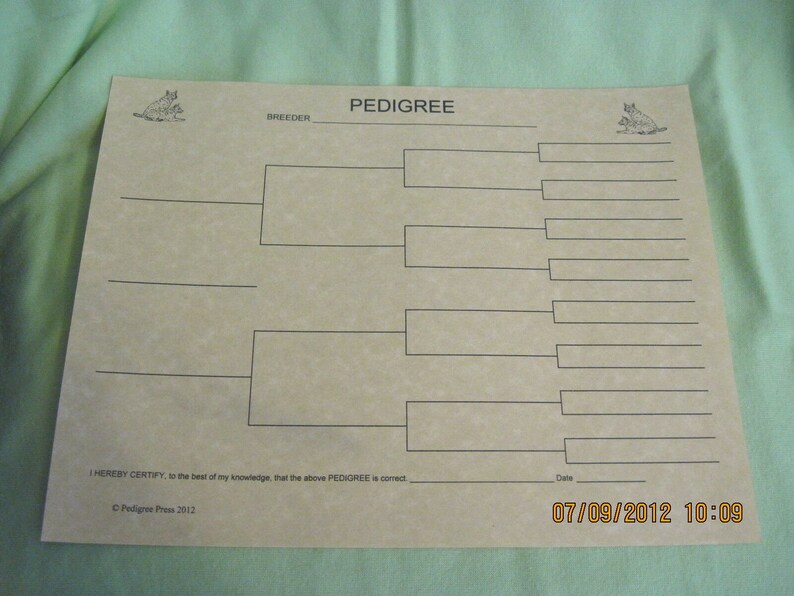 printable blank dog pedigree forms printable blank dog pedigree forms