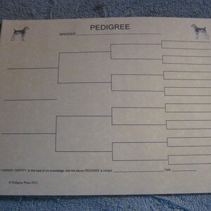 May include: A blank pedigree chart for a dog, with a black and white illustration of a dog at the top. The chart has spaces for the dog's name, breeder, and date. The text "PEDIGREE" is at the top of the chart.