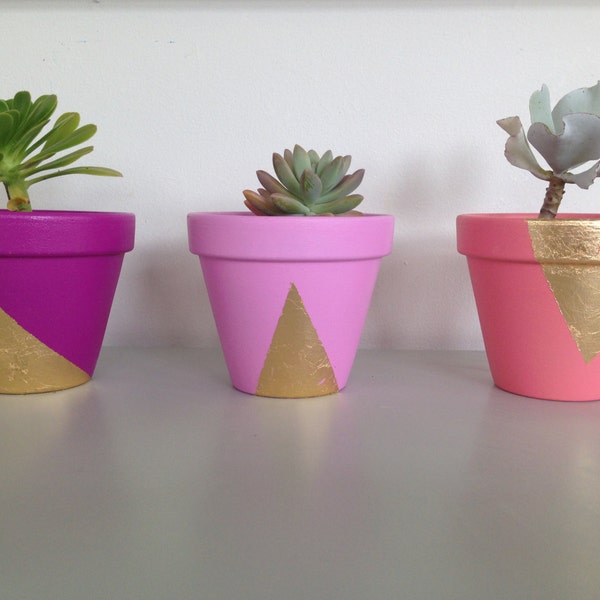 Coloured Gold Leaf Pot - Sweet Succulent Pots