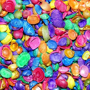Dyed Ark Craft Shells ~ Approximately (350 pcs.) 3/4in. shells per 1/2 lb.~ Sailors Valentine ~