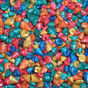 May include: A large collection of colorful seashells, painted in shades of blue, green, red, orange, and gold. The shells are all pointed and have a glossy finish.