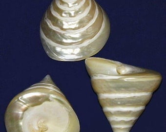 il_340x270.1267604364_acjt.jpg