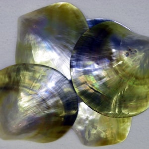 May include: Four iridescent, shell-shaped pieces with a pearlescent sheen. The shells display a range of colors, including green, gold, and blue, with a textured surface. The arrangement suggests a natural, organic theme.