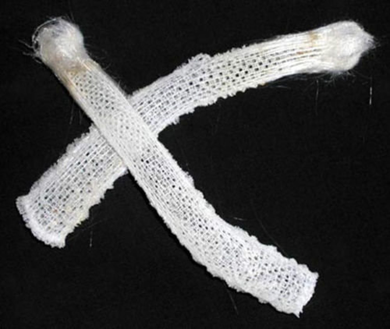 Venus Flower Basket Glass Natural Sponge 7 8 1 Etsy