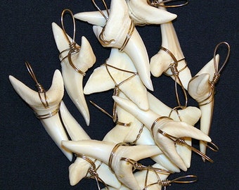 Real Mako Shark Tooth Teeth Pendant ~ Wrapped in Silver Stainless Wire ~ Select Size:  ~EACH~