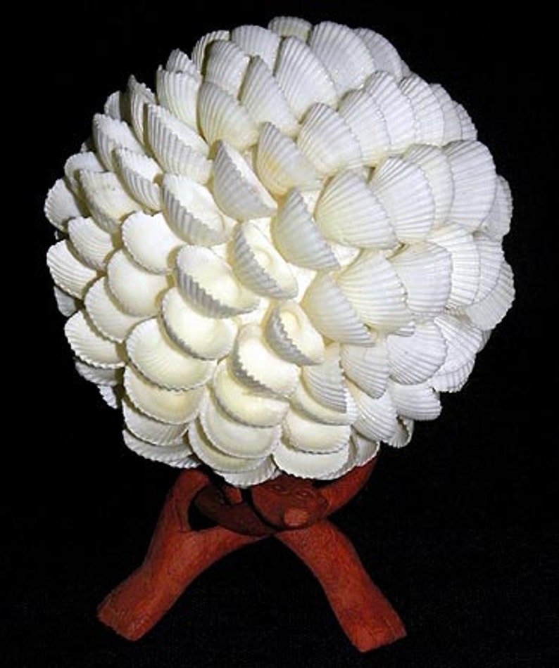 Decorative Shell Balls 4 A Bubble B Chula C Etsy Canada