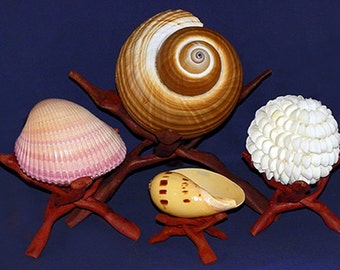 Hand Carved Indian Sheesham Wood Tripod Seashell Cobra Stands ~ Available in 4 Sizes ~ Fits all Oblong, Round and Oval  Shells