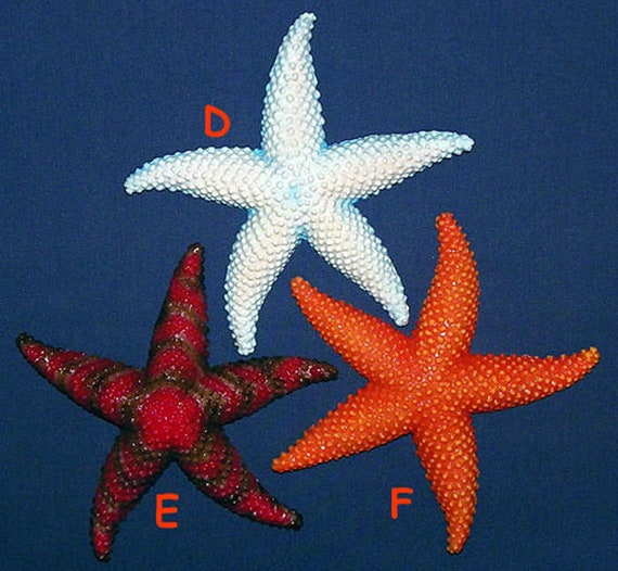 Tropical Fish Seahorse Pair Wall Plaque 6/"X3/"~Nautical Beach Sealife Decor