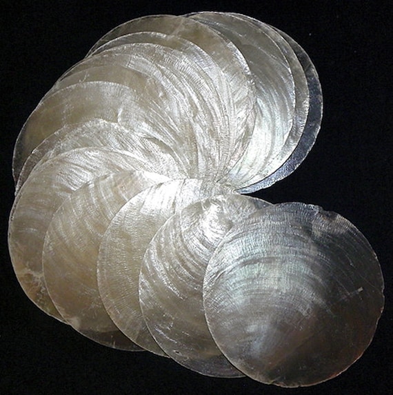Capiz Shells - (3 Round) - Placuna Placenta ~ (5 Shells)