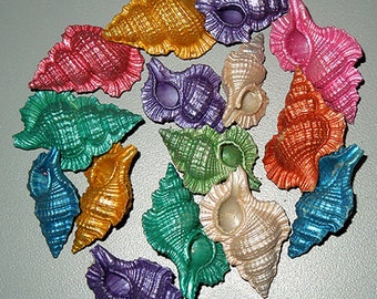Maple Leaf Triton ~ Bioplex Perca Seashell ~ Pearled Matilic Finish  1-1/2" (2 Shells)