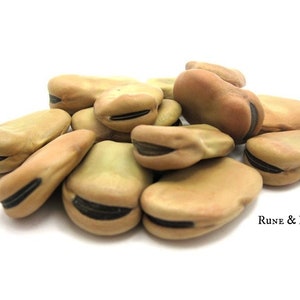 Mojo Wish Beans, One Dozen, Wishing Beans, Dried Beans, Metaphysical, Pagan, Magic