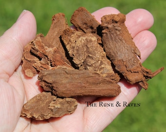 1oz  Dried Norway Spruce, aka Jezebel Root, Herbs, Supplies, Spirits, Herbology, Potions, Magic, Kitchen, Pinus