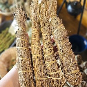XXL Dried Patchouli Root | Natural Herb for Spells | Smudging | Rituals | Grounding | Prosperity | Protection Magic | Pogostemon cablin