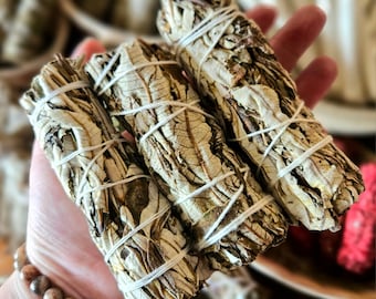 Yerba Santa Smudge Bundle (ONE) Saining, Energy Clearing, Herbs