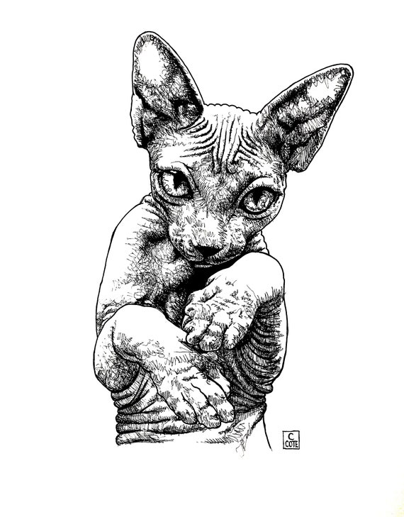 Chat Sphynx Stylo Et Dessin A Lencre Etsy