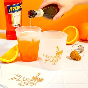 Feeling Spritzy Shatterproof Frost Flex Cups 16 oz set of 6 image 2