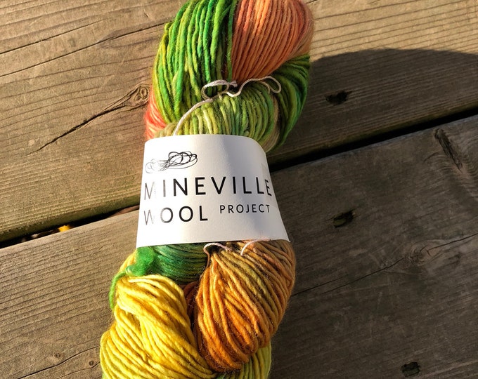 Mineville Wool Project Merino single ply yarn #2806