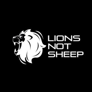 Lions Not Sheep Decal
