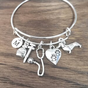 Vet Nurse, Vet Tech, Veterinary Gift, Vet Charm Bracelet, Vet Nurse Gifts, Veterinary Graduate, Veterinary Bracelets, Animal Doctor,Friend