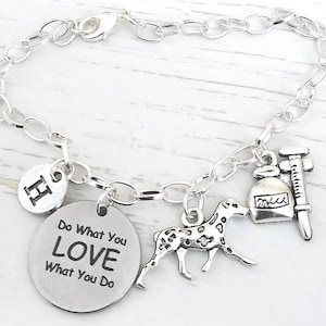 Vet Nurse, Vet Tech, Veterinary Gift, Vet Charm Bracelet, Vet Nurse Gifts, Veterinary Graduate, Veterinary Bracelet, Animal Doctor,Friend
