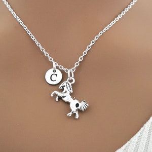 Horse Necklaces, Horse gifts for a girls, horse gift women,horse gift girl,horse jewellery,horse lover gift,equestrianism gift,equestrianism