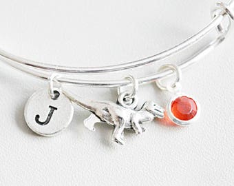 May include: Silver charm bracelet with a dinosaur charm, a letter J charm, and a red gemstone charm.
