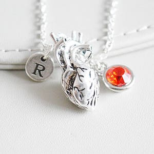 Heart Pendant, Real Heart Gift, Anatomical Heart Necklace, Anatomically Heart, Gift For Him, Alternative Necklace, Doctor, Medical Student,