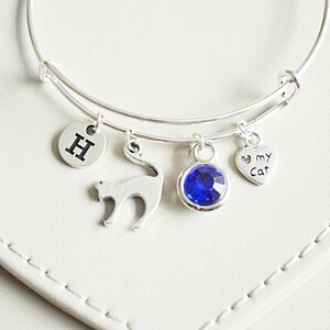 Pode incluir: Pulseira de prata com um charm de cristal azul, um charm de gato e um charm com a letra H. A pulseira está sobre uma superfície branca.