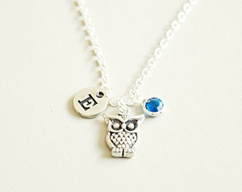 Eule Halskette, Eule Charm Halskette, Silber Eulen Halskette, Eule Schmuck, Eule Geschenk, Eule Charm Schmuck, Eule Liebhaber, Eule Thema, Eule Fan, personalisiert