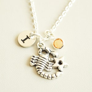 Scorpion Necklace, Scorpion gift, Scorpion Jewelry, Scorpion Necklace  gift, Scorpion Zodiac Necklace, October, November, Birthday gift idea