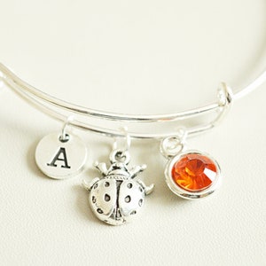 May include: Silver charm bracelet with a ladybug charm, a letter A charm, and a round orange crystal charm.