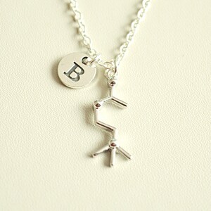 Puede incluir: Collar de plata con un dije de una estructura química y un pequeño dije redondo con la letra 'B'.