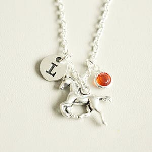 Collar de caballo, collar amante del caballo, joyería de jinete, regalo de dije de caballo, regalo para suegra, regalo de cumpleaños de tía, tía tía