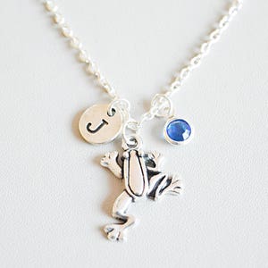 Frosch Halskette, Krötenkette, Silberfrosch, einfache Halskette, Frosch Schmuck, Täglicher Schmuck, Frosch Anhänger, Alltägliche Halskette, Frosch Geschenk