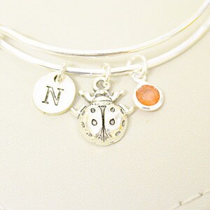 Puede incluir: Pulsera de plata con un dije de mariquita, un dije con la letra 'N' y un pequeño dije de piedra naranja.