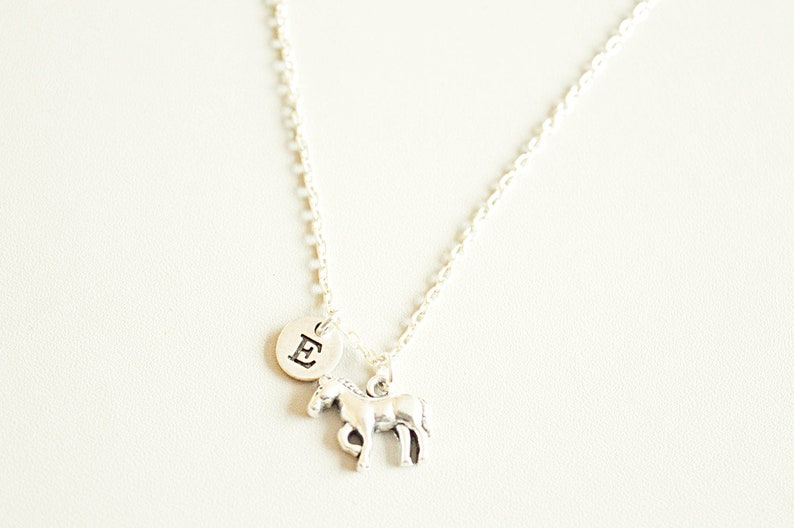 Horse rider jewelry,Horse gift for him Horse lover necklace Horse Necklace Horse gift for her Horse birthday gift Personalized Horse