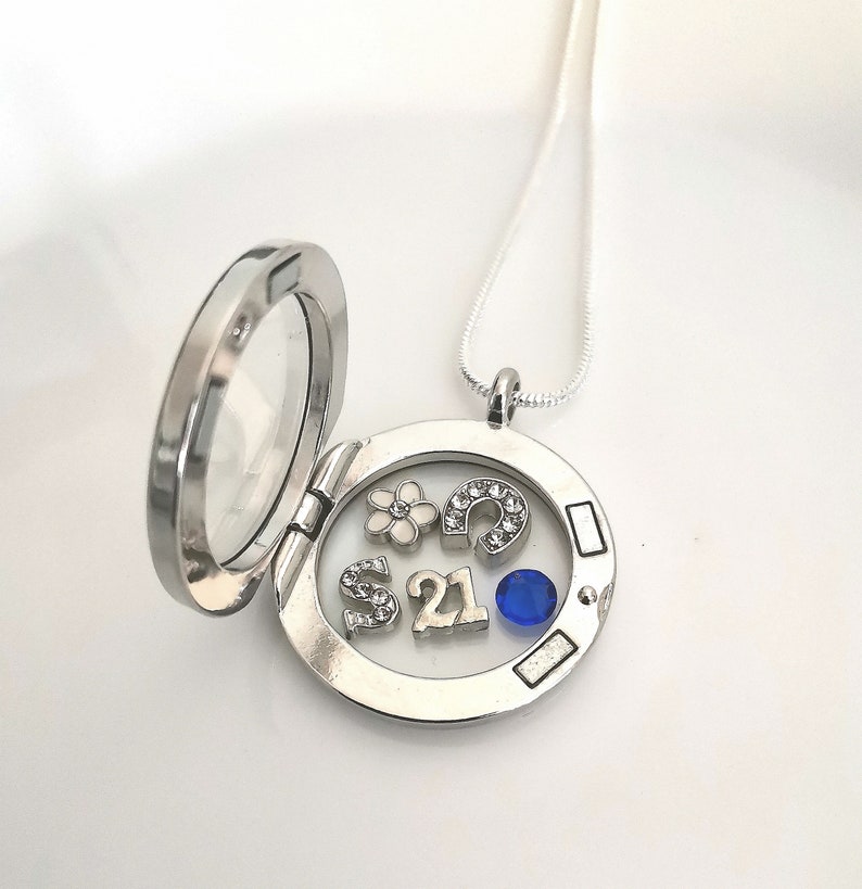 Puede incluir: Collar con dije de plata y un inserto de vidrio transparente. El dije contiene un peque&ntilde;o dije de flor blanca, un dije de herradura con diamantes de imitaci&oacute;n, un dije de letra 'S', un dije de n&uacute;mero '21' y una piedra preciosa azul.