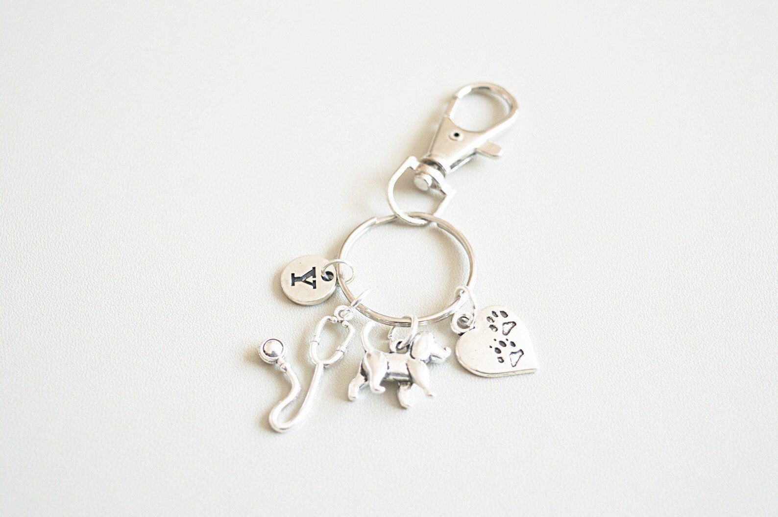 Key Chain Veterinary Vet Gifts, Vet Keychain, Vet Keyring, Veterinary Gifts, Veterinary ...